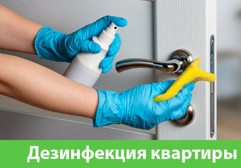 Дезинфекция квартиры в городе Зеленоград